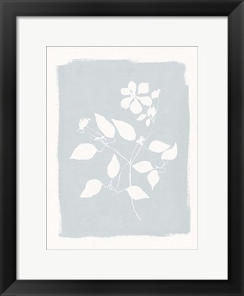 Framed Pressed Daisies Print