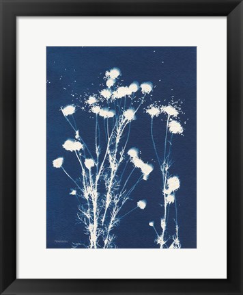 Framed Alpine Flower VI Print