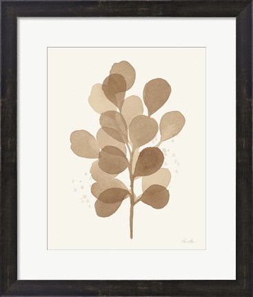 Framed Leaf and Stem V Print