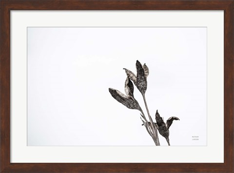 Framed Winter Rebirth Print