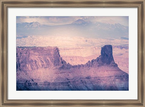 Framed pinks Print