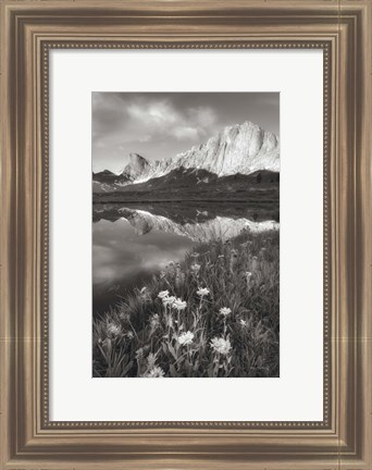 Framed Pronghorn and Dragon Head Peaks BW Print