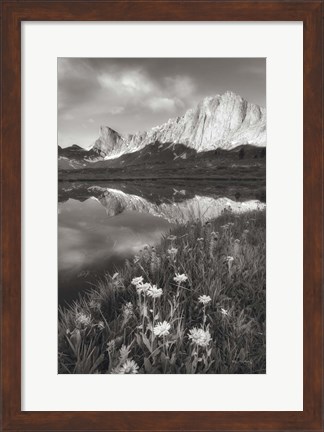 Framed Pronghorn and Dragon Head Peaks BW Print