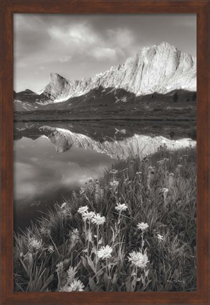 Framed Pronghorn and Dragon Head Peaks BW Print