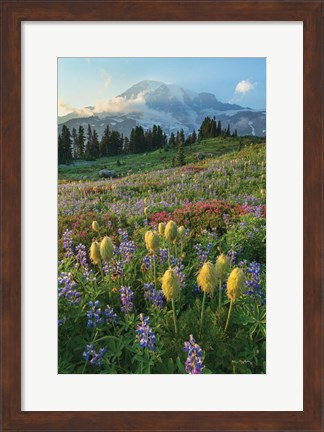 Framed Paradise Wildflower Meadows II Print