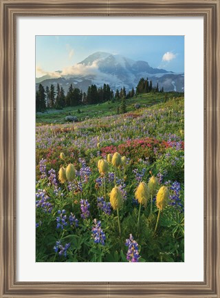 Framed Paradise Wildflower Meadows II Print