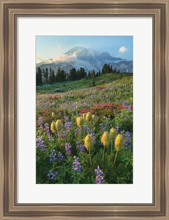 Framed Paradise Wildflower Meadows II Print
