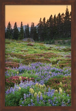 Framed Paradise Wildflower Meadows III Print