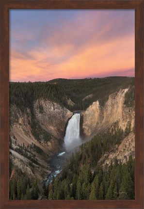 Framed Lower Falls of the Yellowstone River II Print