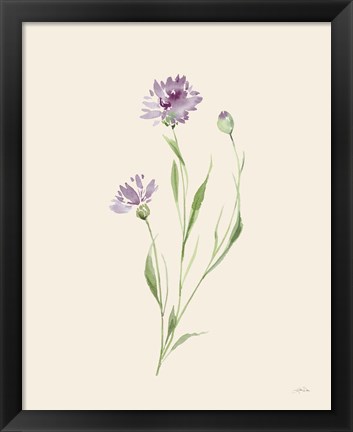 Framed Wild Blooms II Print