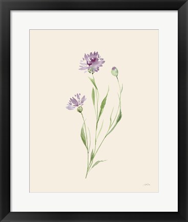 Framed Wild Blooms II Print