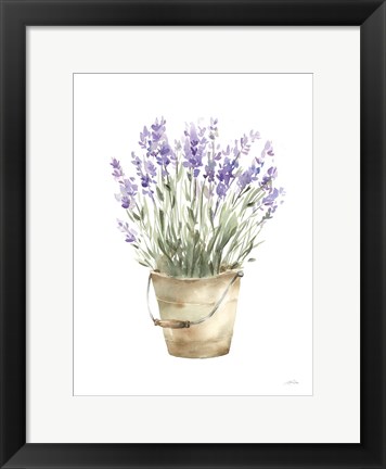 Framed Potted Lavender Print