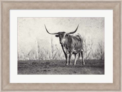 Framed Texas Longhorn Print