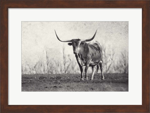 Framed Texas Longhorn Print