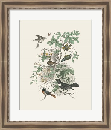 Framed Honeybloom Bird II Print