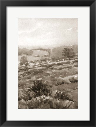 Framed Field of Flowers III Sepia Print