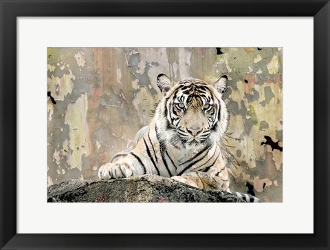 Framed Tiger Love Print