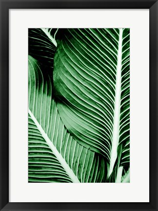 Framed Tropical 1 Print