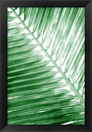 Framed Tropical 2 Print