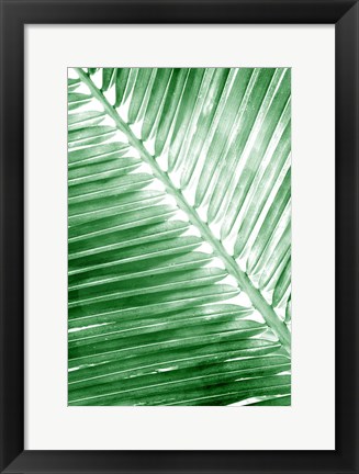 Framed Tropical 2 Print