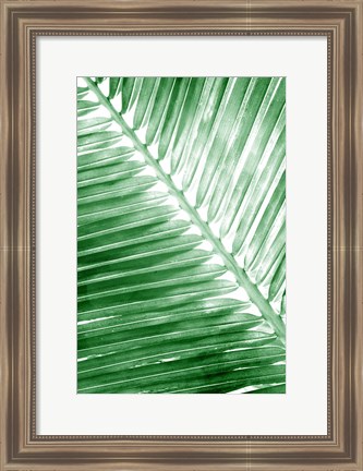 Framed Tropical 2 Print