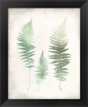 Framed Watercolor Fern 1 Vintage Print