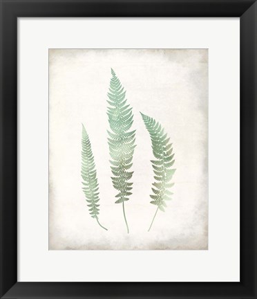 Framed Watercolor Fern 3 Vintage Print