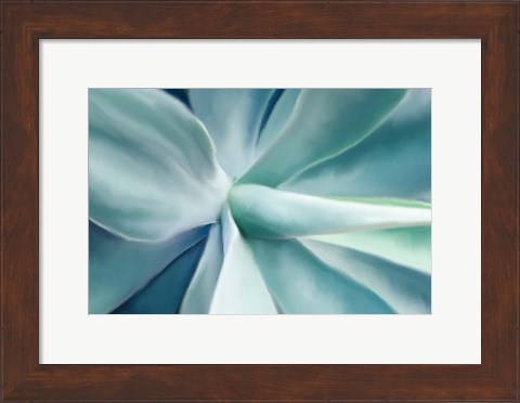 Framed Agave Print