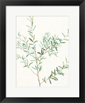 Framed Branch 2 Print