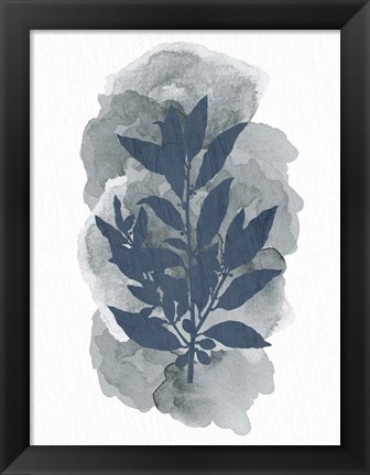 Framed Leaf Silhouette 1 Print