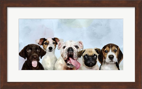 Framed Puppy Portrait Print