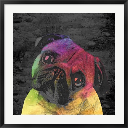 Framed Pug Print