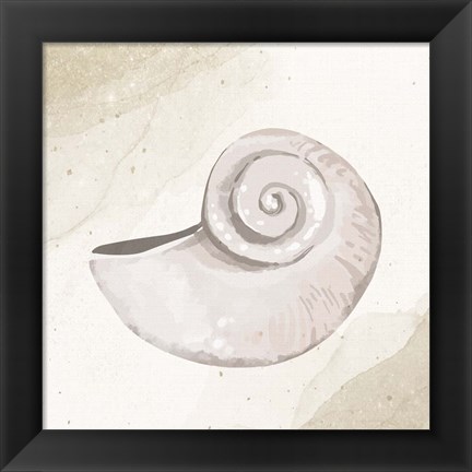 Framed Calming Shell 1 Print