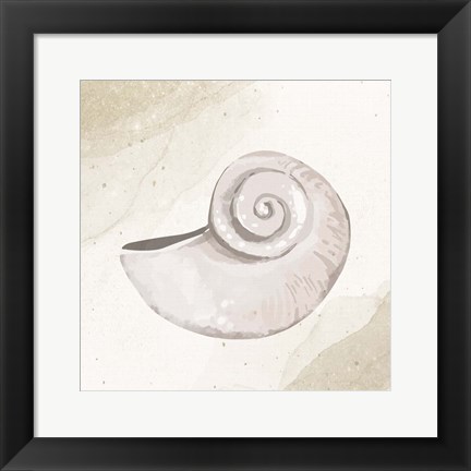 Framed Calming Shell 1 Print