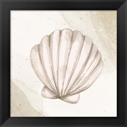 Framed Calming Shell 2 Print