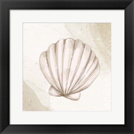 Framed Calming Shell 2 Print