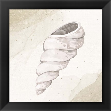 Framed Calming Shell 3 Print