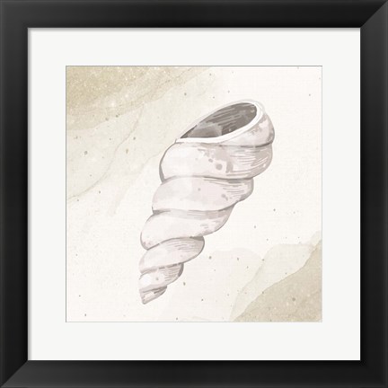 Framed Calming Shell 3 Print