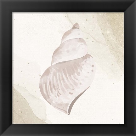 Framed Calming Shell 4 Print