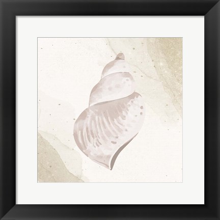 Framed Calming Shell 4 Print