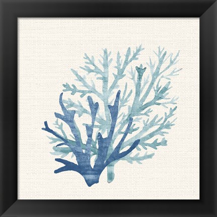 Framed Coral Shades 2 Print