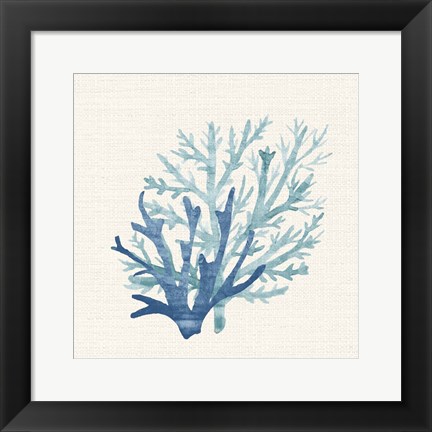 Framed Coral Shades 2 Print