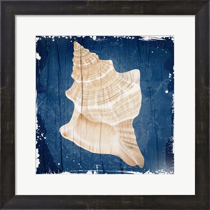 Framed Coastal Shells 1 Print