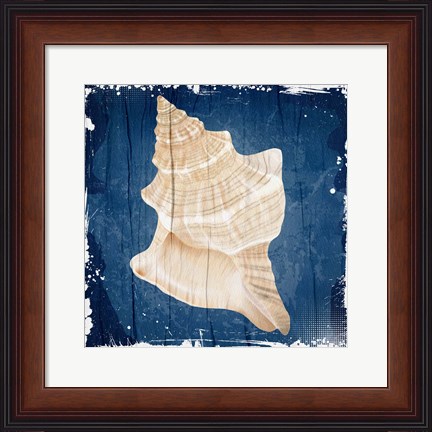 Framed Coastal Shells 1 Print