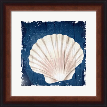 Framed Coastal Shells 2 Print