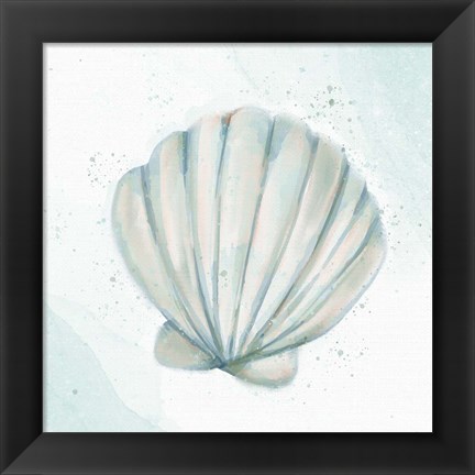 Framed Seashore Shell 2 Print