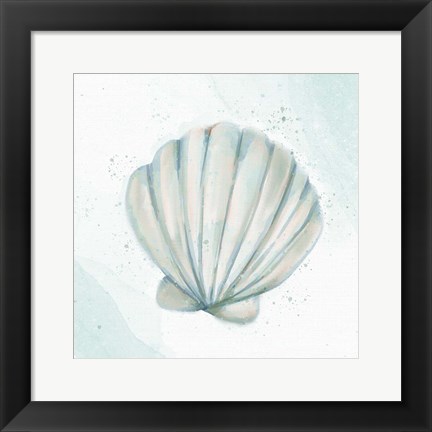 Framed Seashore Shell 2 Print