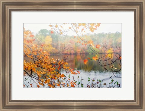 Framed Autumn Pond Print