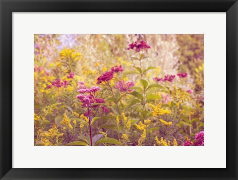 Framed Plum and Mustard Wildflowers Print