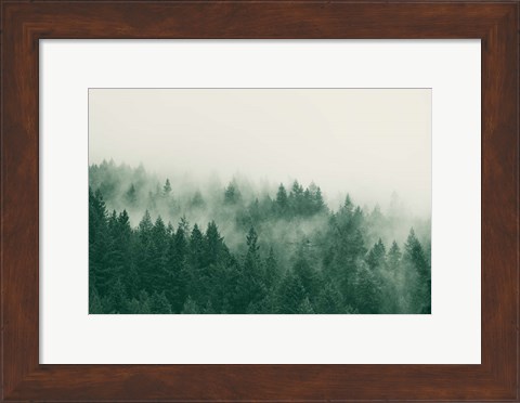 Framed Emerald Forest No. 1 Print